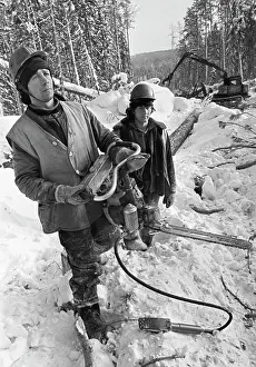 Fellers: Logging Company