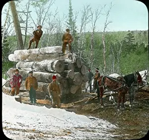 Loggers: Logging - Loggers - Industry - Occupations - USA