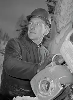 Logging: Logging operator Viktor Palynsky