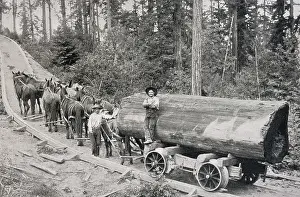 Logging: Logging Railway - 1904