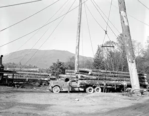 Lumbering: Logging Truck Lumber Deforestation