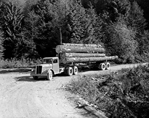 Lumbering: Logging Truck Lumber Deforestation