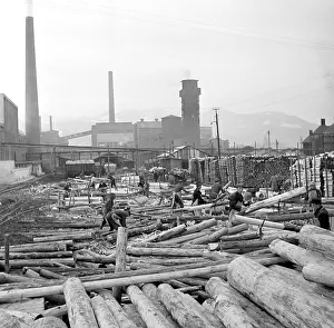 Shredding: Logs being dorted before processing