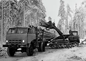 Logging: Logs loaded into trucks
