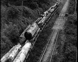 Logs: Logs of Wood on a Train Waggon
