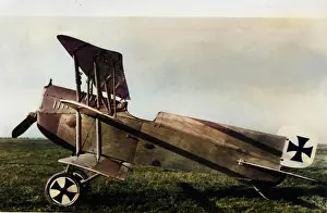 Lohner: Lohner Triplane single seat fighter