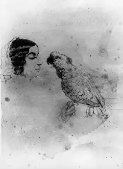 Montez: Lola Montez