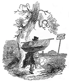 Signpost: London Bird Catcher