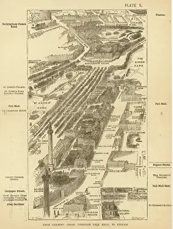 Pall: LONDON BIRDSEYE 5