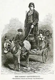 Costermonger: London costermonger 1850s