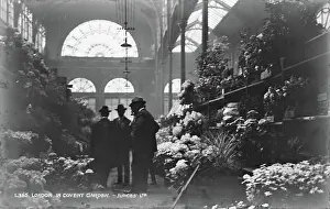 Heyday: London in Covent Garden