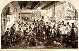 Exclusively: LONDON DOG SHOW 1861