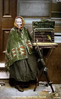 Teller: London fortune teller and her birds