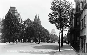 Showcasing: London Natural History Museum