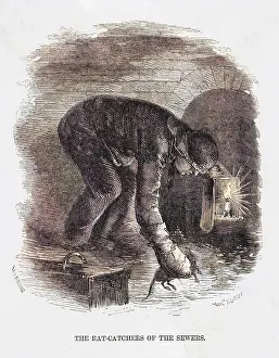Sewers: London Rat Catcher 1860s