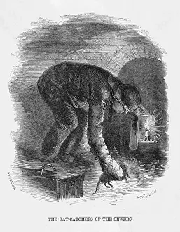 Sewers: London Rat Catcher