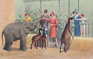The J Salmon Image Archive (peter Cope): London Zoo