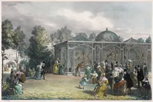 Grosvenor Prints: LONDON ZOO
