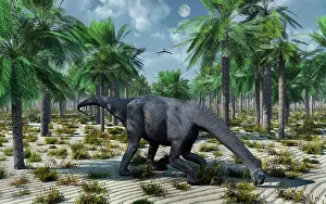 Camarasaurus: A lone Camarasaurus sauropod dinosaur grazing