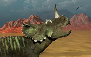 Apertus: A lone Centrosaurus dinosaur calling out to find its herd