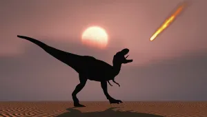 Tyrannosaurus: A lone T-rex watches a falling asteroid that will