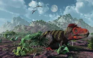 Tarbosaurus: A lone Tarbosaurus lying on the ground