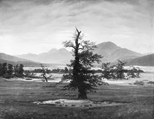 Caspar: The Lone Tree, by Caspar David Friedrich