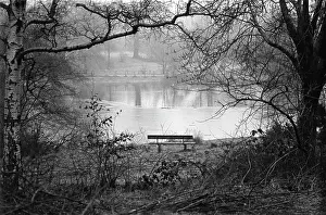 Unoccupied: Lonely bench overlooking pond in a misty park