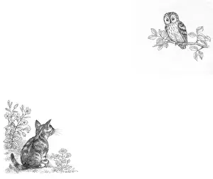 Mordue: The Lonely Kitten