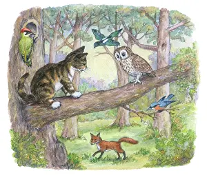 Mordue: The Lonely Kitten