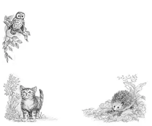 Mordue: The Lonely Kitten