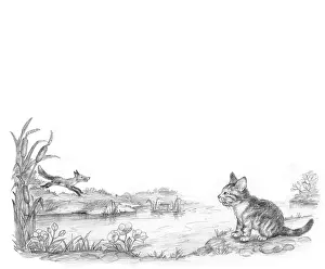 Mordue: The Lonely Kitten