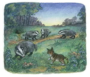 Mordue: The Lonely Kitten