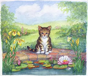 Mordue: The Lonely Kitten