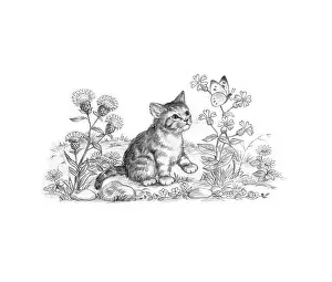 Mordue: The Lonely Kitten