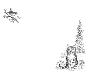 Mordue: The Lonely Kitten