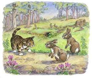 Mordue: The Lonely Kitten