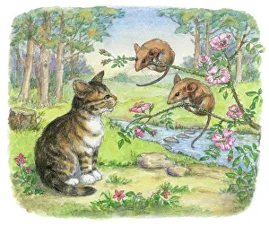 Mordue: The Lonely Kitten