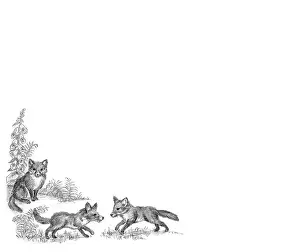 Mordue: The Lonely Kitten