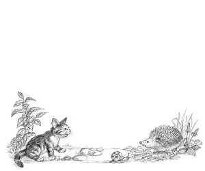Mordue: The Lonely Kitten