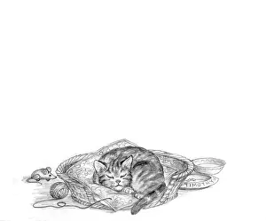 Mordue: The Lonely Kitten
