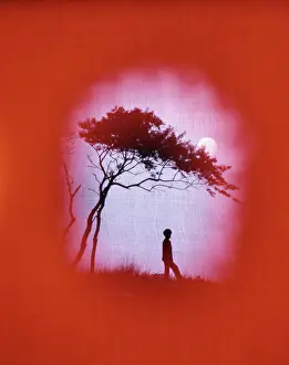 Urw001: Lonely Silhouette of Woman Under Tree Setting Sun Vignette