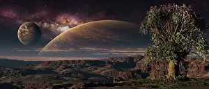 Loneliness: A lonely tree on an extraterrestrial world with a stunning ?