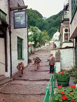 Clovelly: Up a long, Clovelly