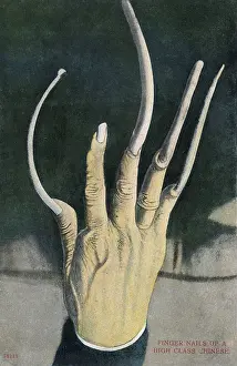 Fingernails: Long fingernails of a High Class Chinese Man