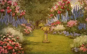 Abundant: Long Garden