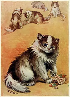 Mischievous: Long hair kitten playing