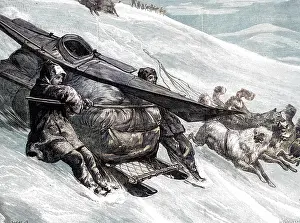 Proved: DE LONG/SLEDGING DOWNHIL