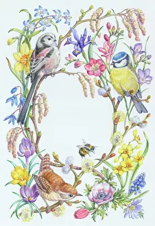 Catkins: Long-tailed tit, wren and blue tit with bee