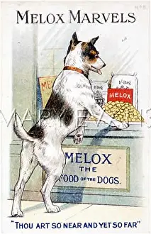 Longingly: LONGING FOR MELOX
